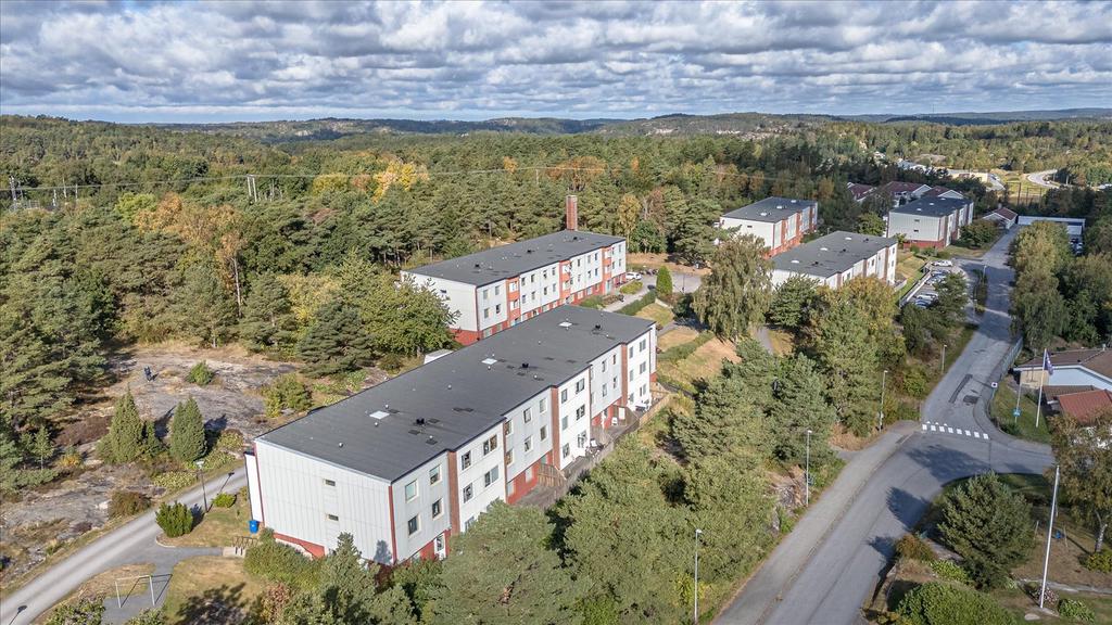 Sågvägen , Brastad