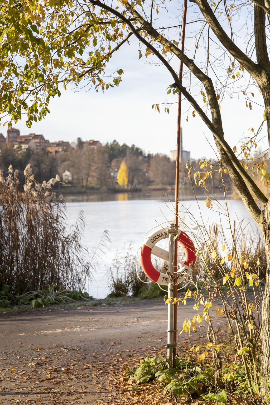 Råstasjön