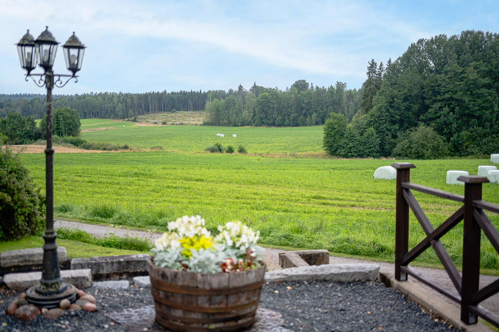 Fin utsikt mot skog och äng