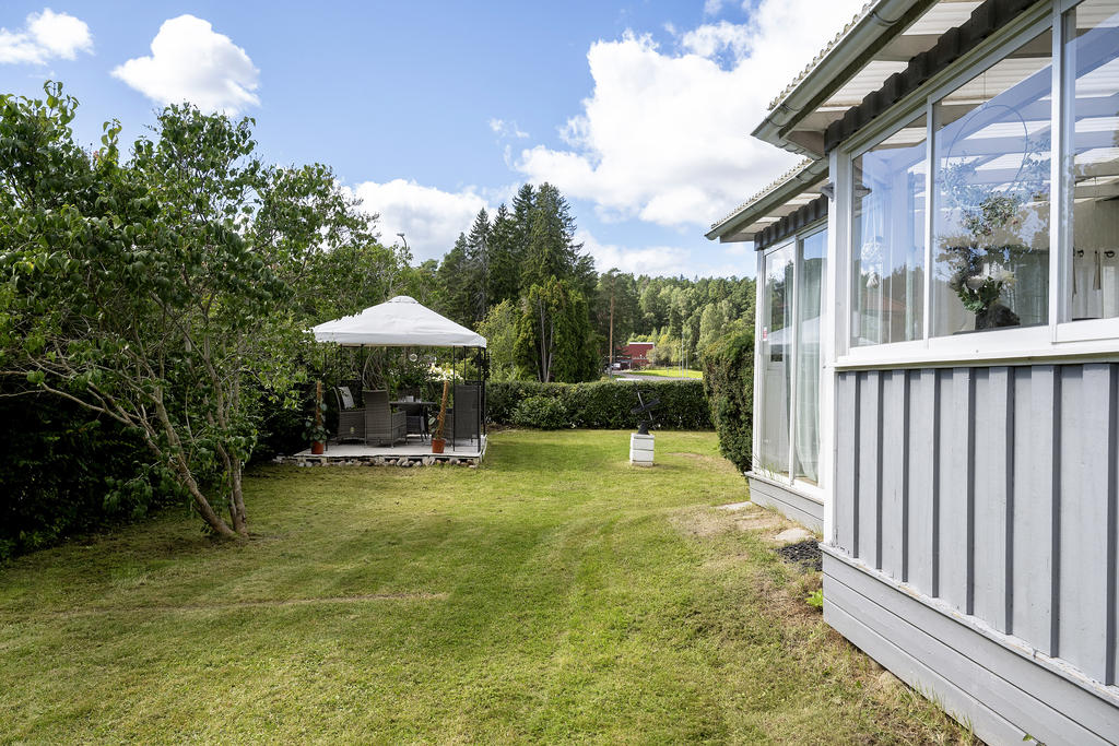 Trädgård