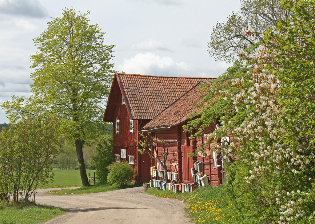 Oxlogen