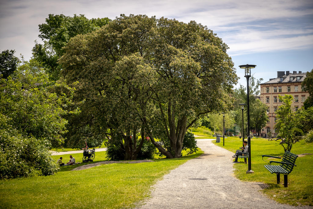 Skinnarviksparken