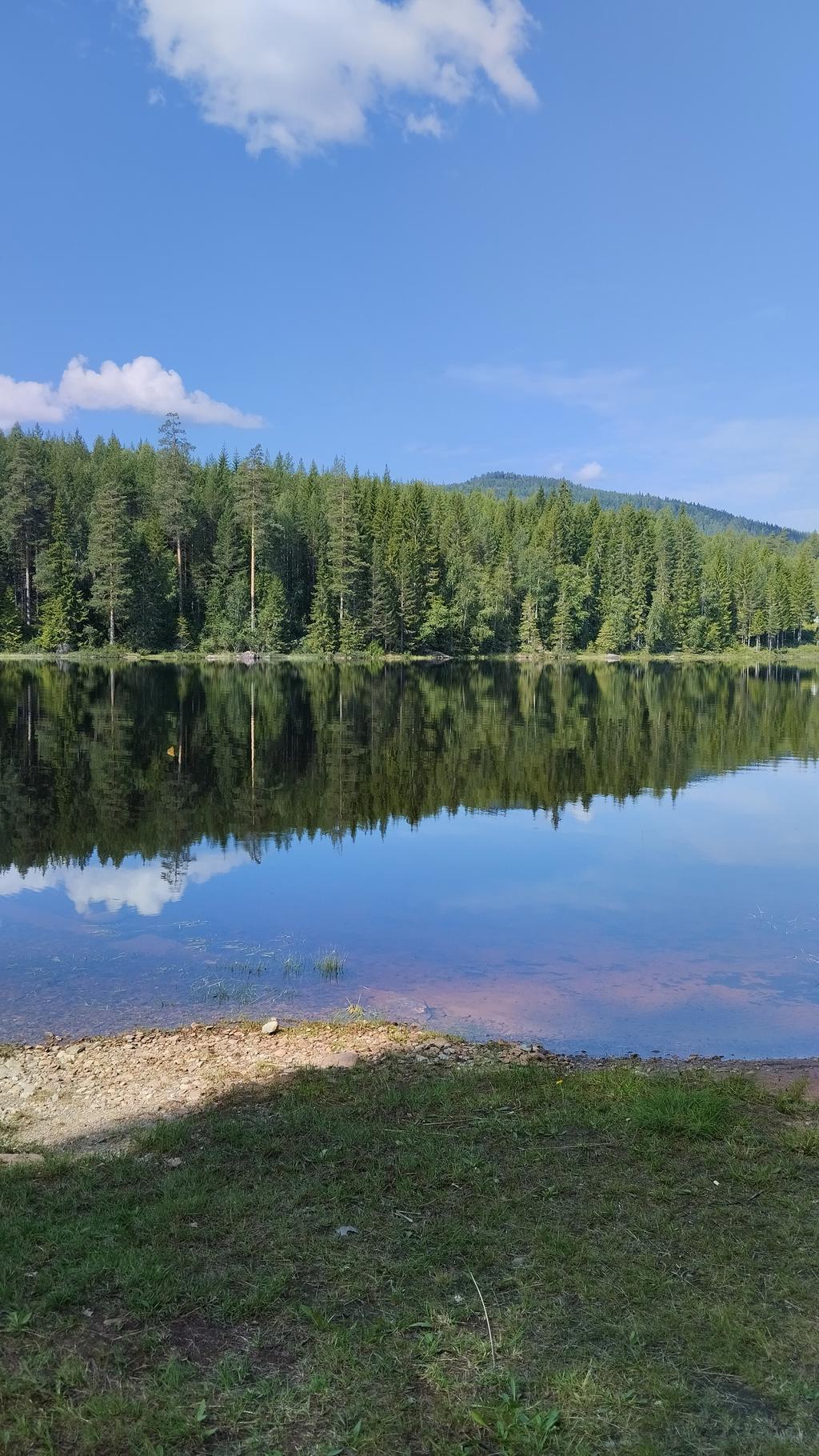 Säljarens egna bilder.