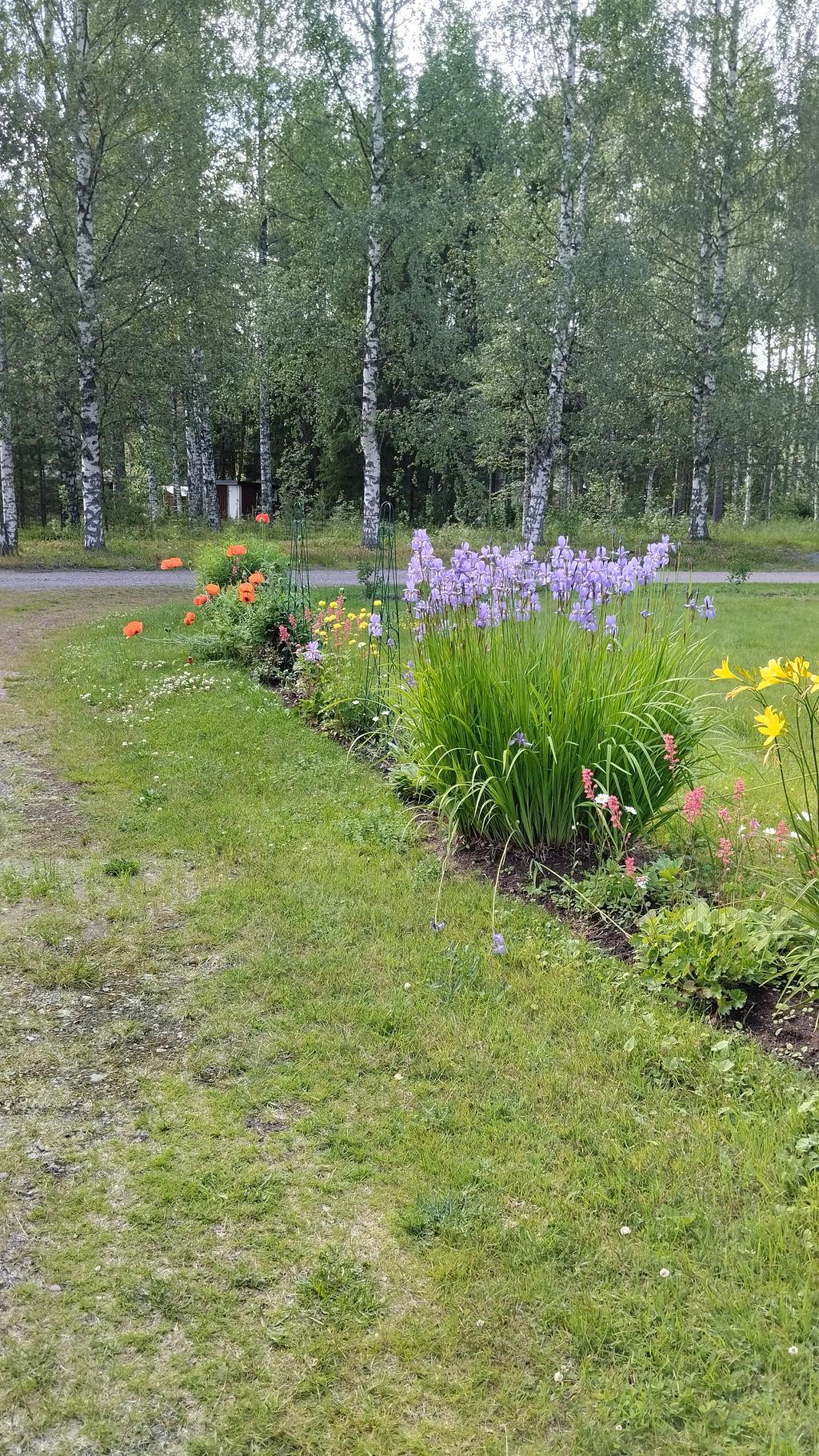 Säljarens egna bilder.