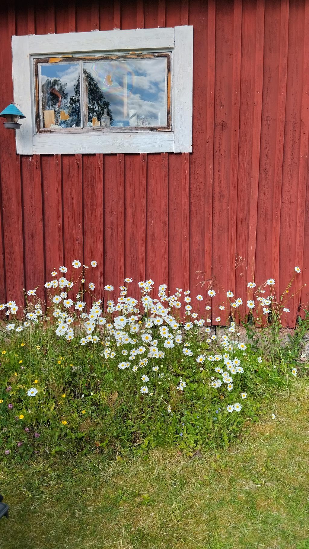 Säljarens egna bilder.