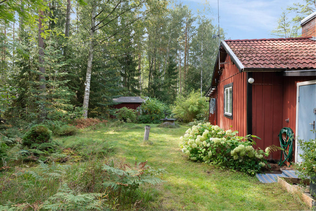 Lummig trädgårdstomt i den lilla, avskilda skogsgläntan
