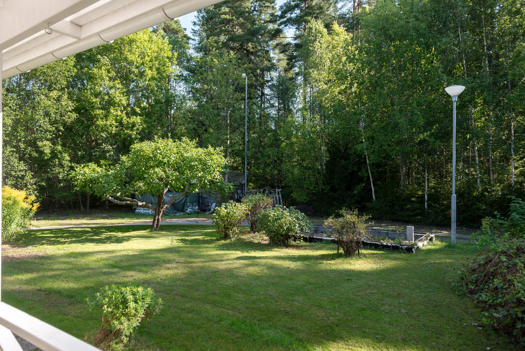 Trädgård.