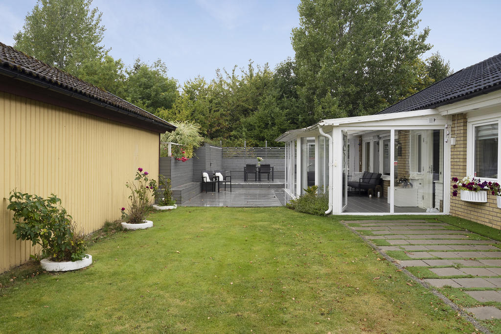 Trädgård