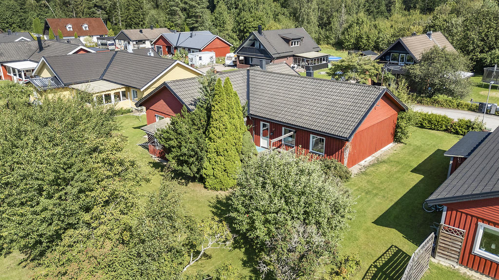 Enplanshus i vinkel med lummig trädgård