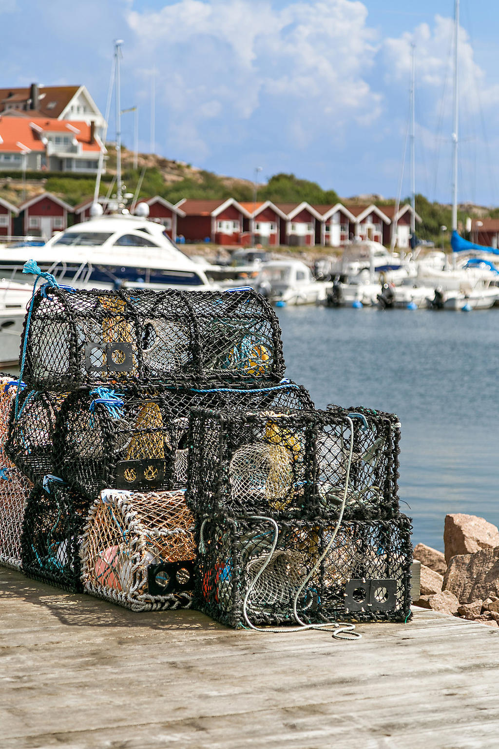 Områdesbild, fisketången