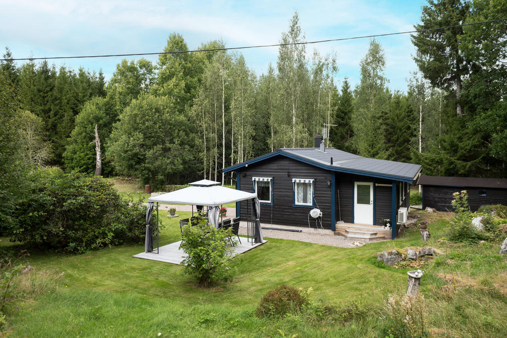 Trädgård.