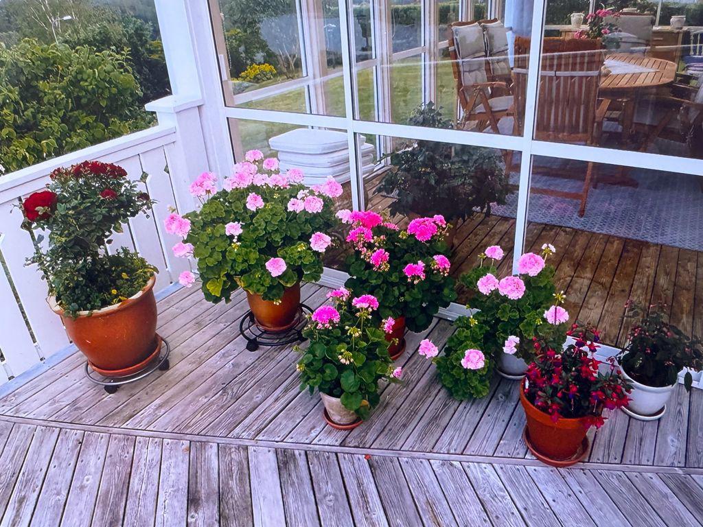 Säljarens egna bilder