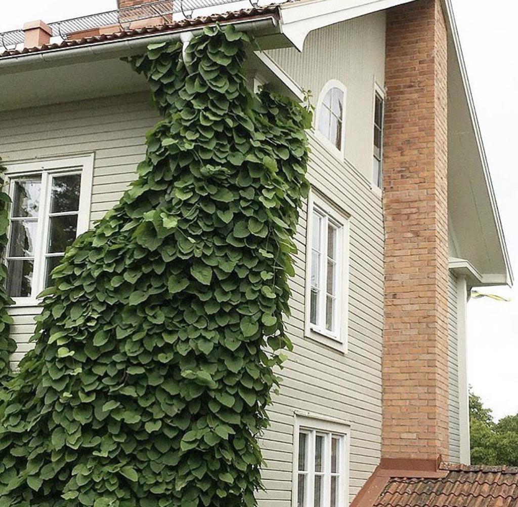 Säljarens egna bilder.