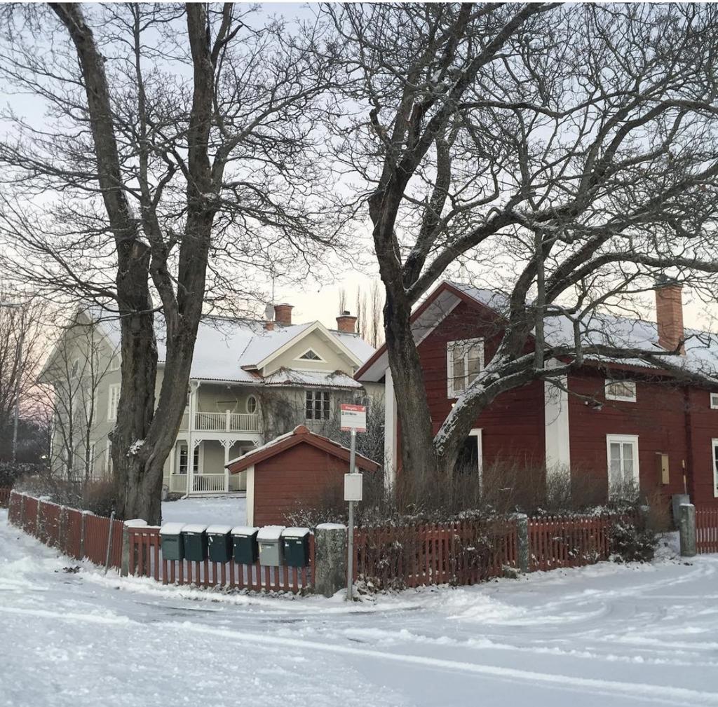 Säljarens egna vinter bilder.
