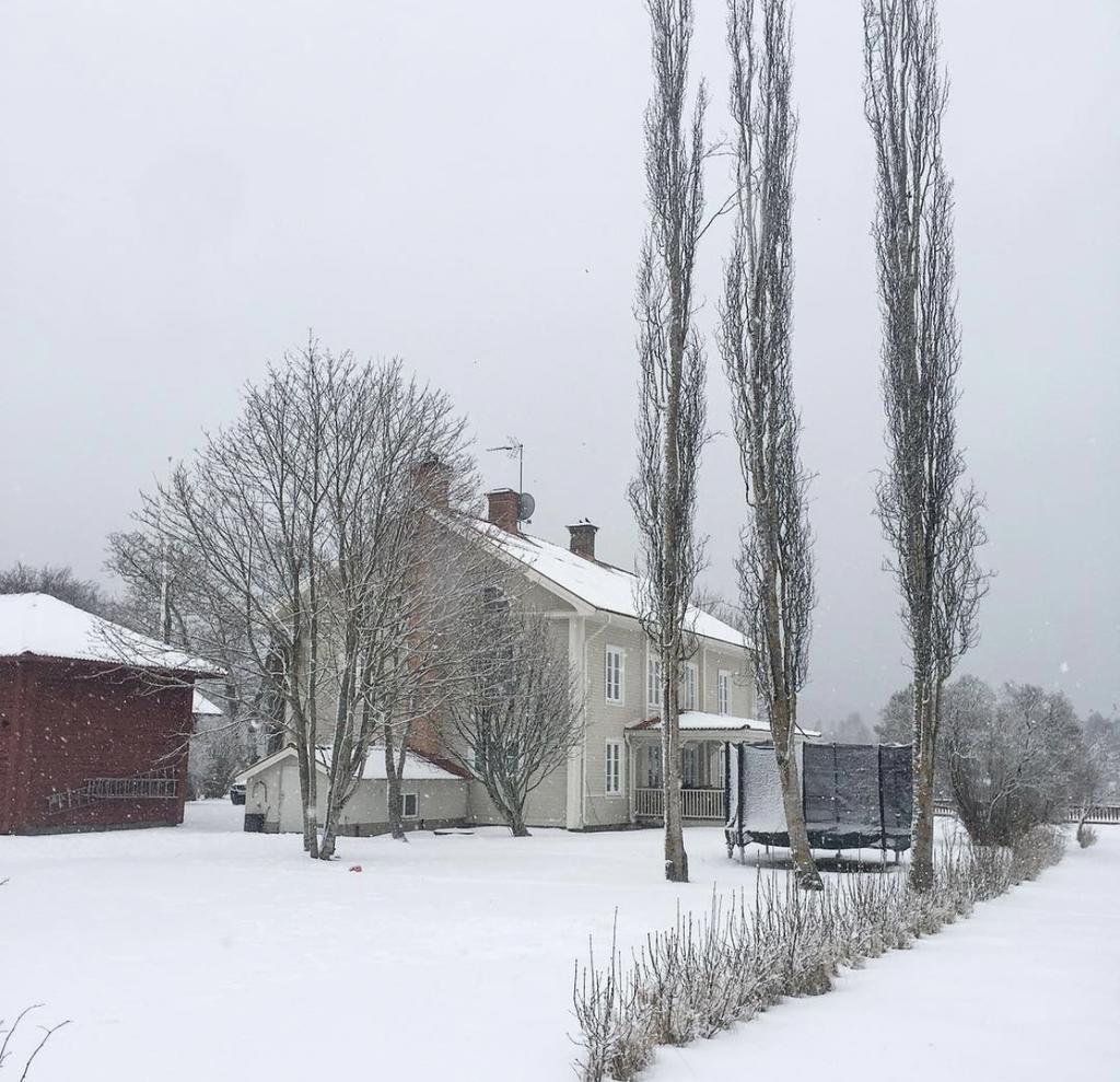 Säljarens egna vinter bilder.