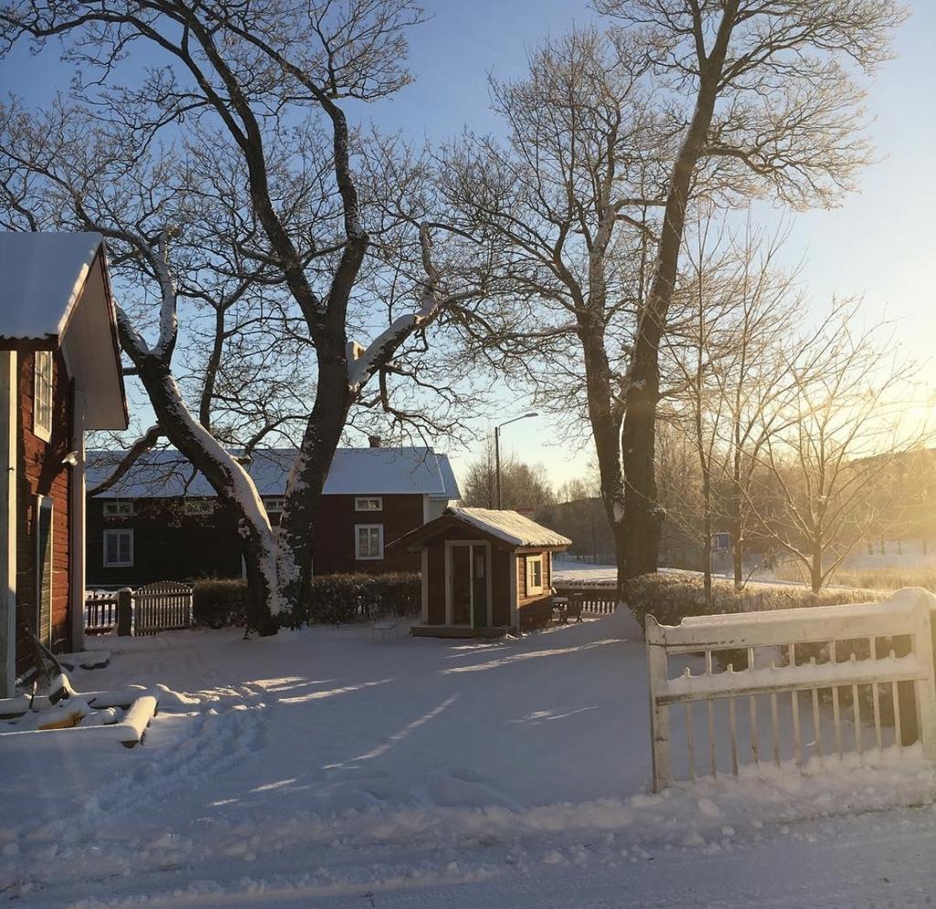 Säljarens egna vinter  bilder.