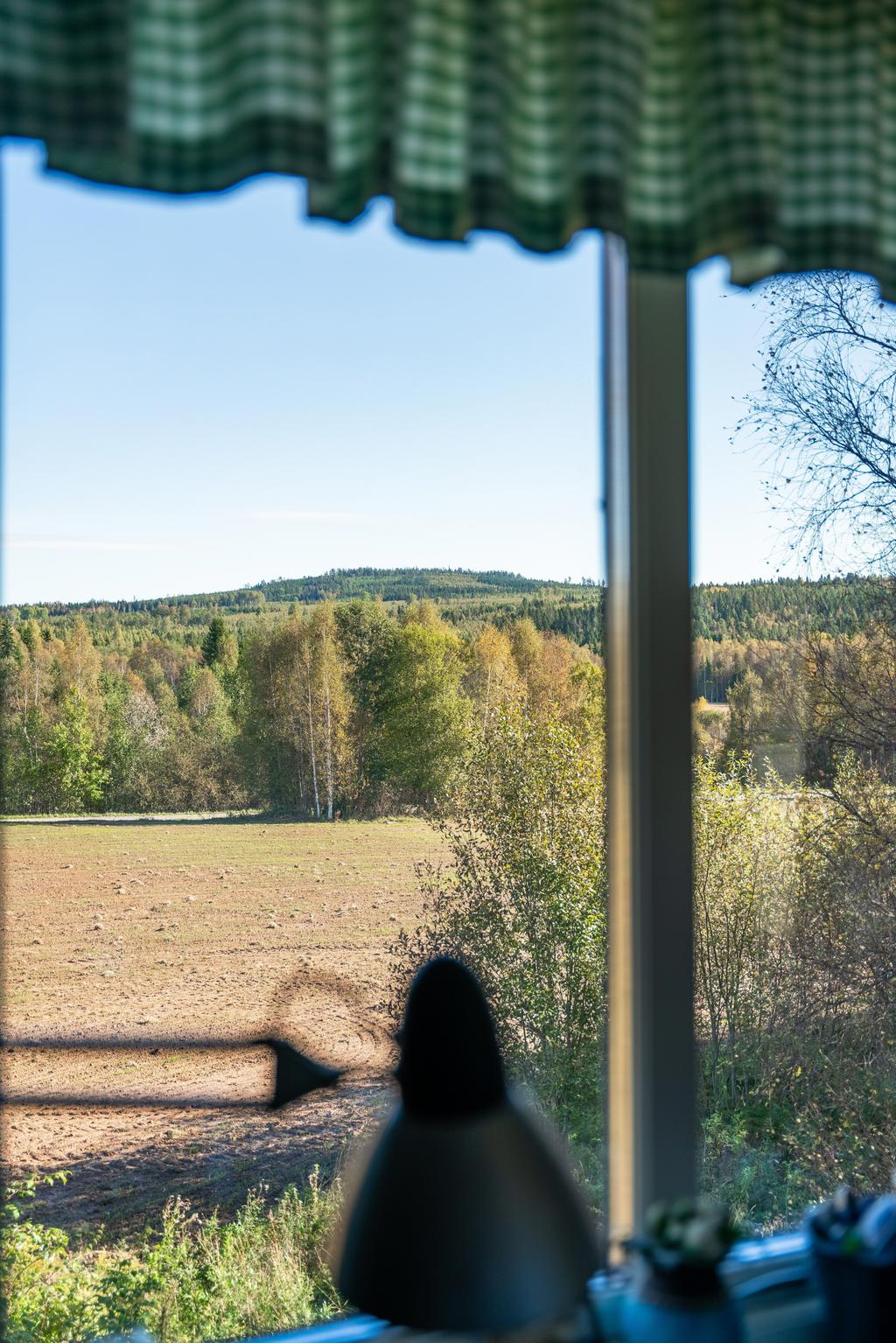 Utsikt från kontoret