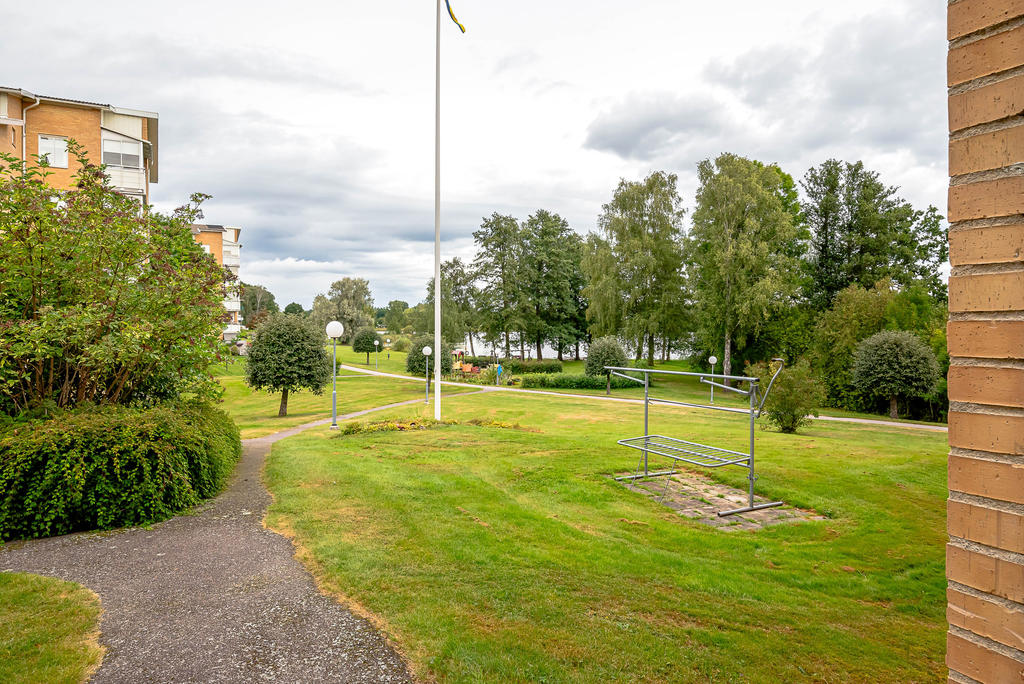 Härligt strövområde runt knuten ner mot sjön