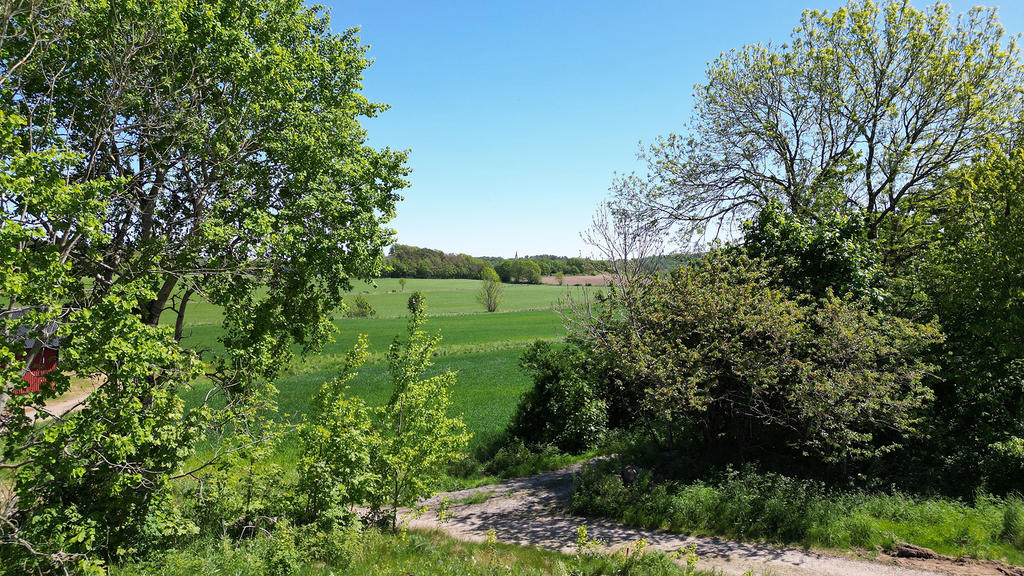 Vy  från tomt 2