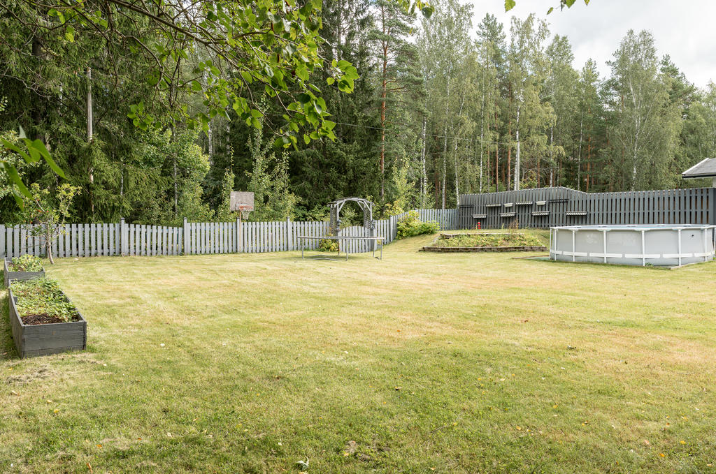 Trädgård