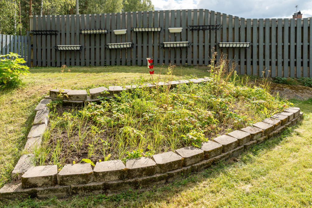 Trädgård