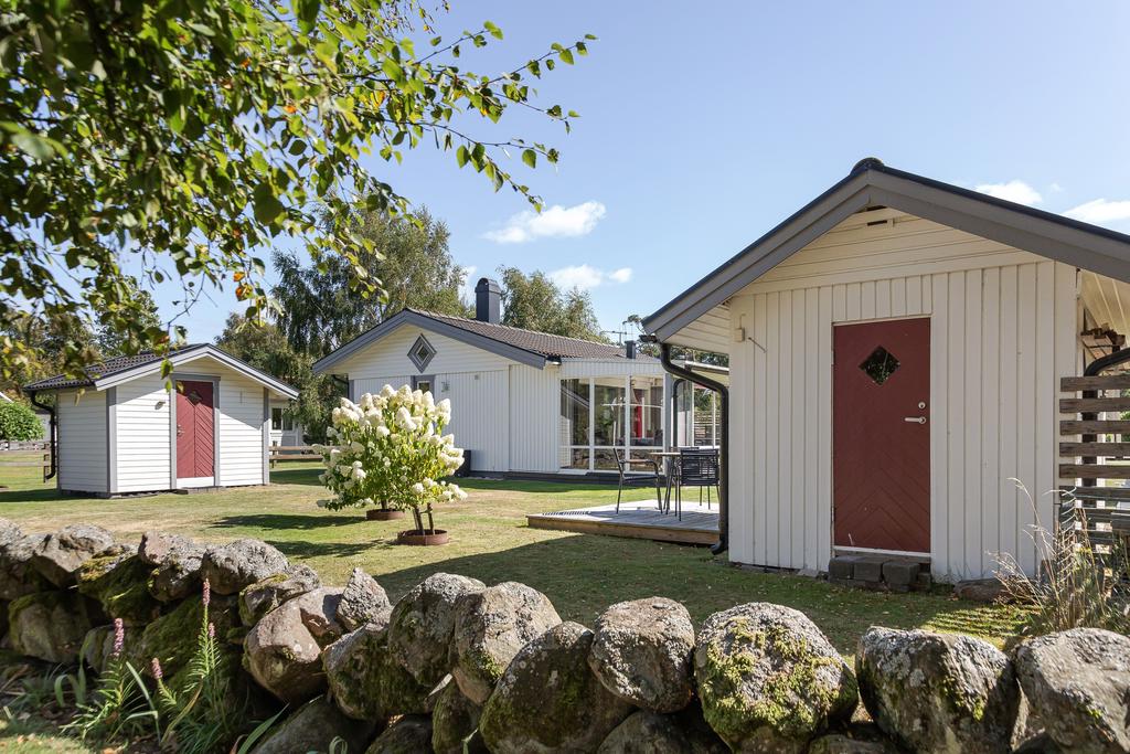 Lummig trädgård med gröna ytor.