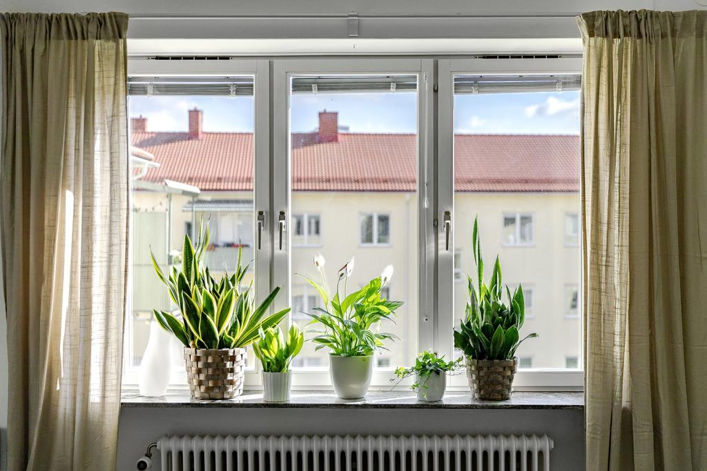 Mycket ljusinsläpp 