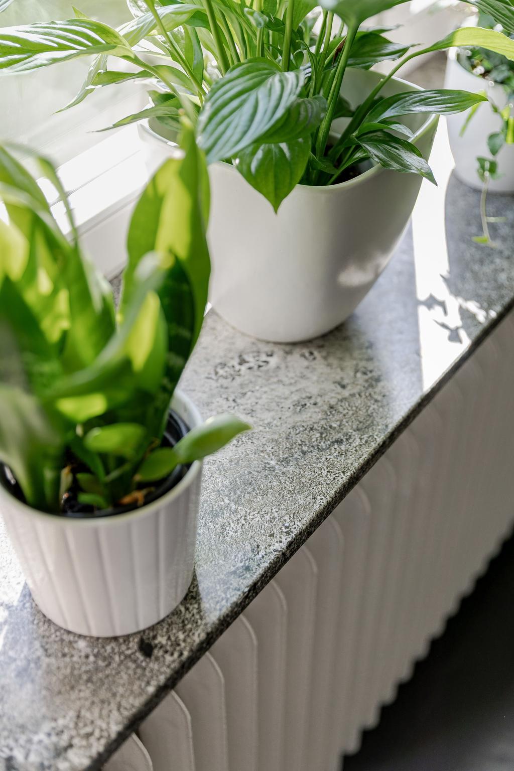 Detalj - Kolmårdsmarmor 