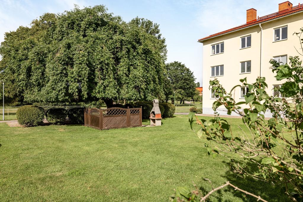 Grönskande innergård centralt i stan 