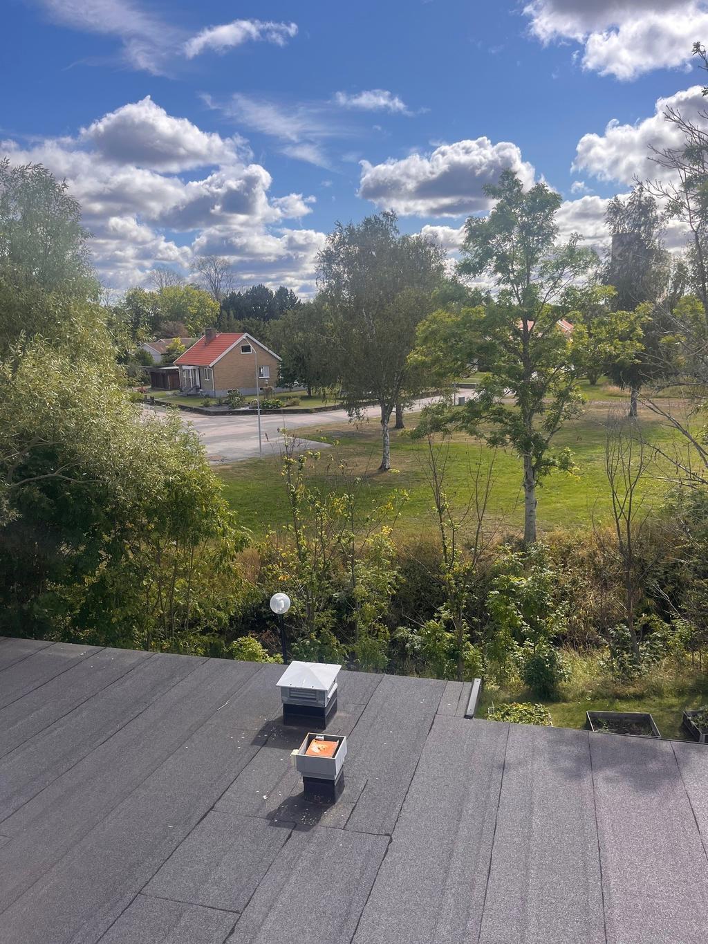 Utsikt från vardagsrummet