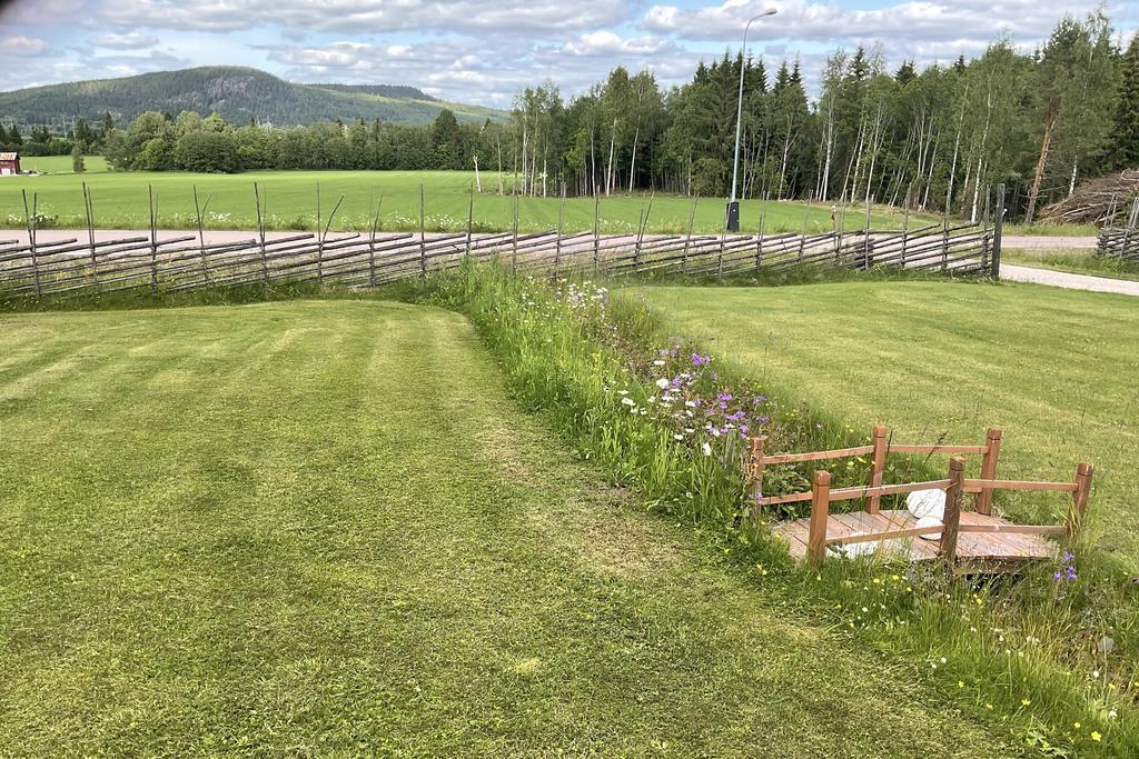 Säljarens bild