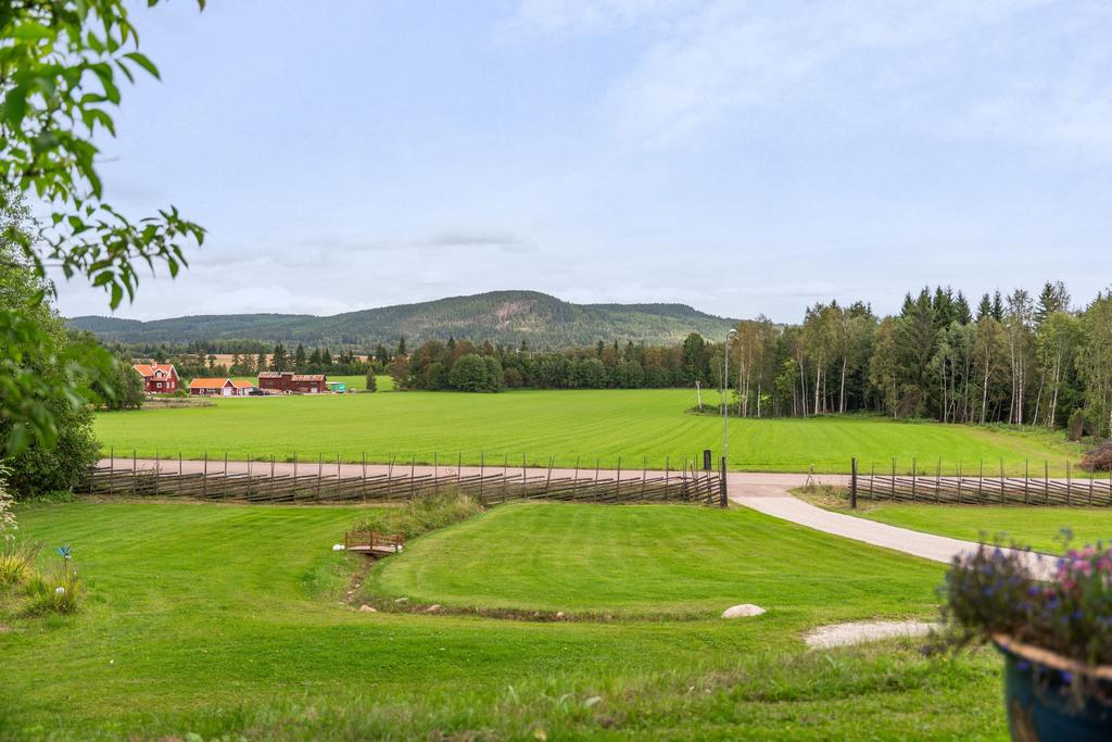 Utsikten över åkrarna och mot Djurmo Klack