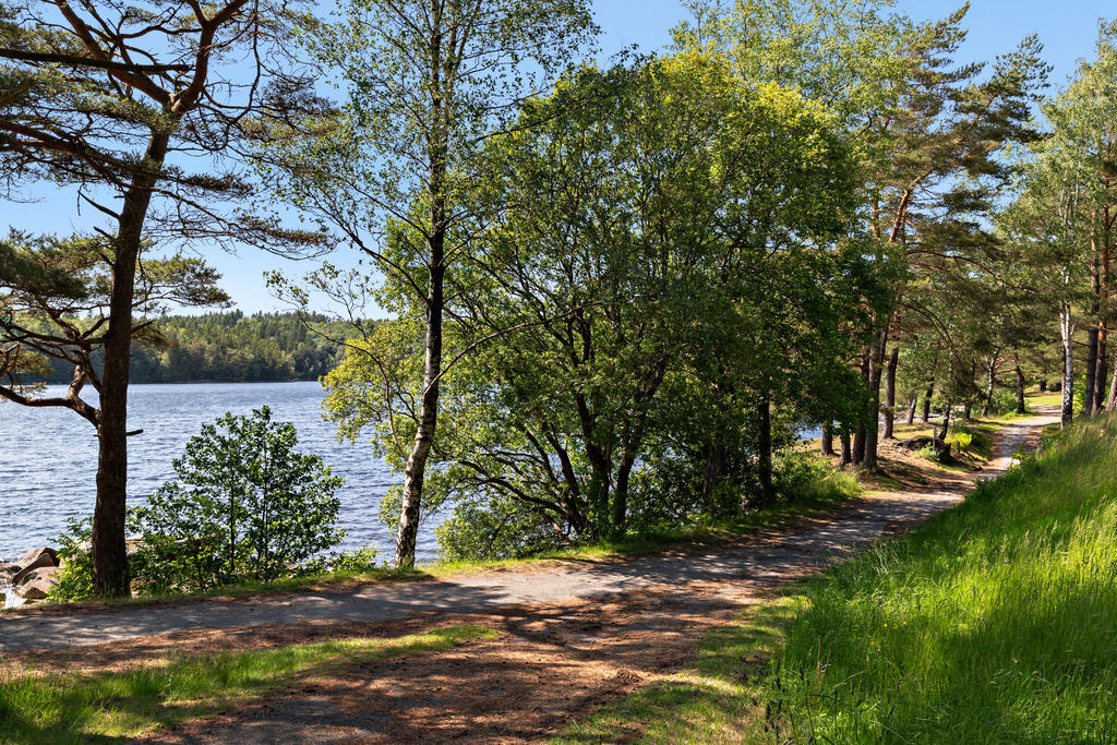 Härliga gångvägar i området