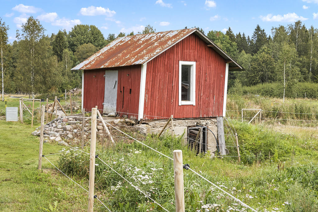 Uthus