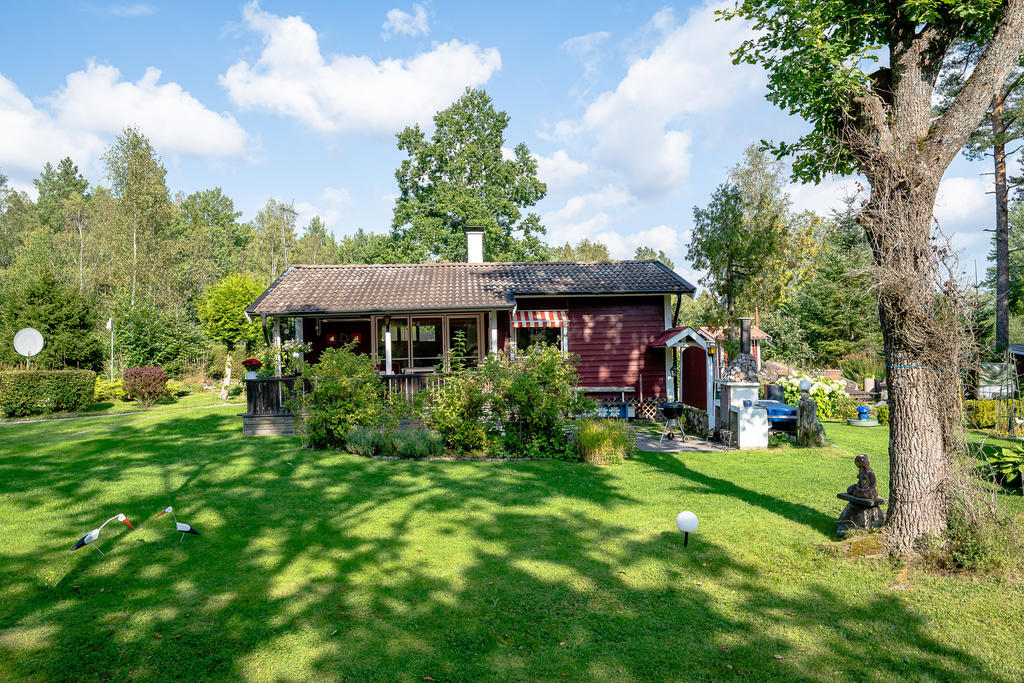 Lugnt och skönt i solskenet