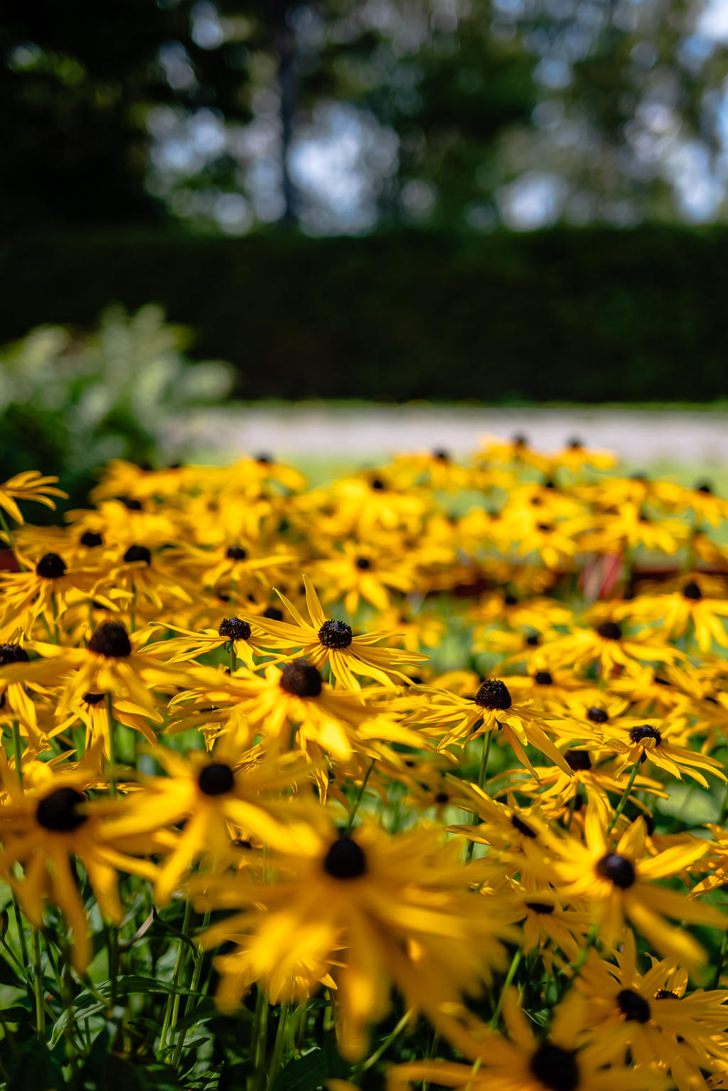 Här trivs man i solskenet!