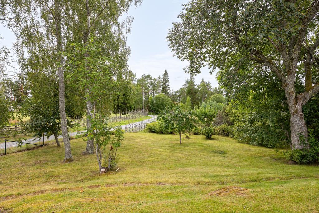 Trädgård