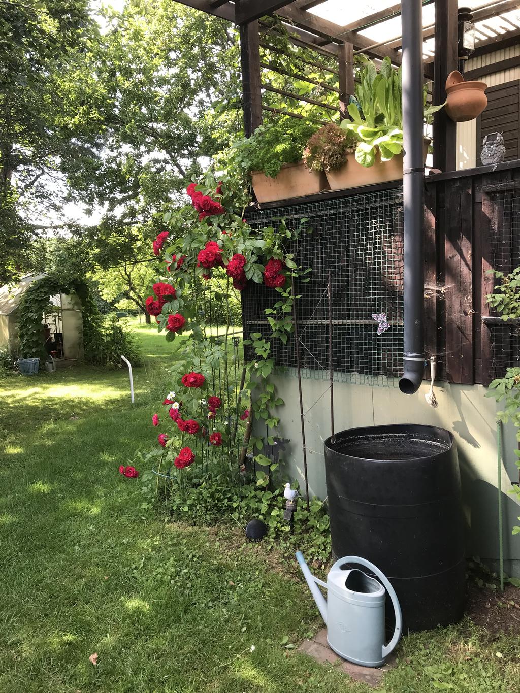 Säljarens egna bild.