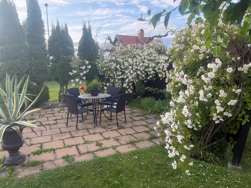Säljarens egna bild