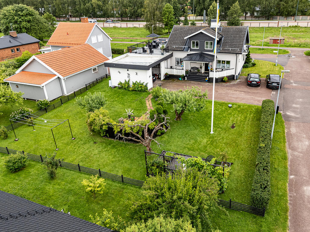 Trevlig trädgård