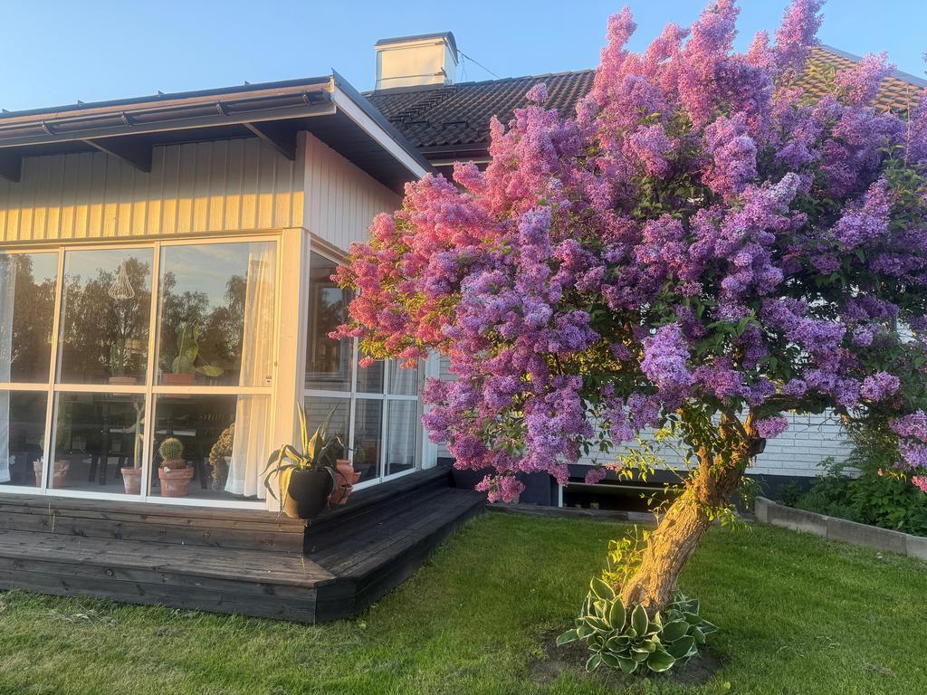 Säljarens egna bild
