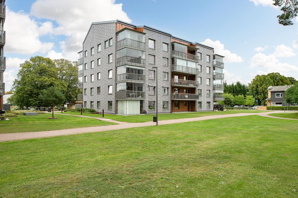 Exteriör