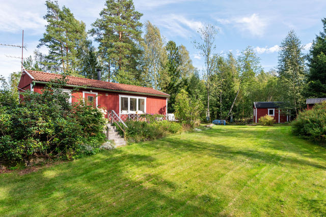 Vy över trädgården