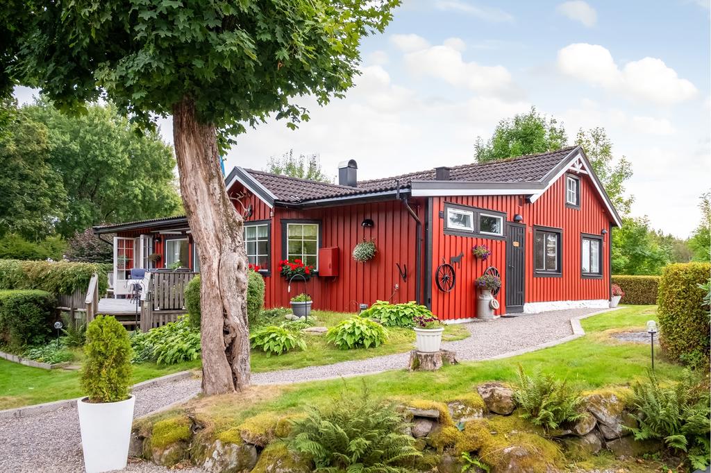 Lummig trädgård