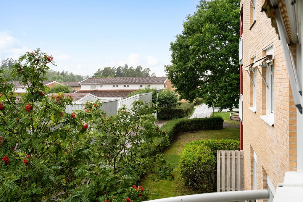 Utsikt från balkong