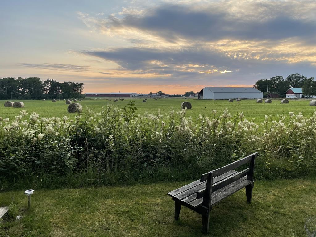 Säljarens bilder
