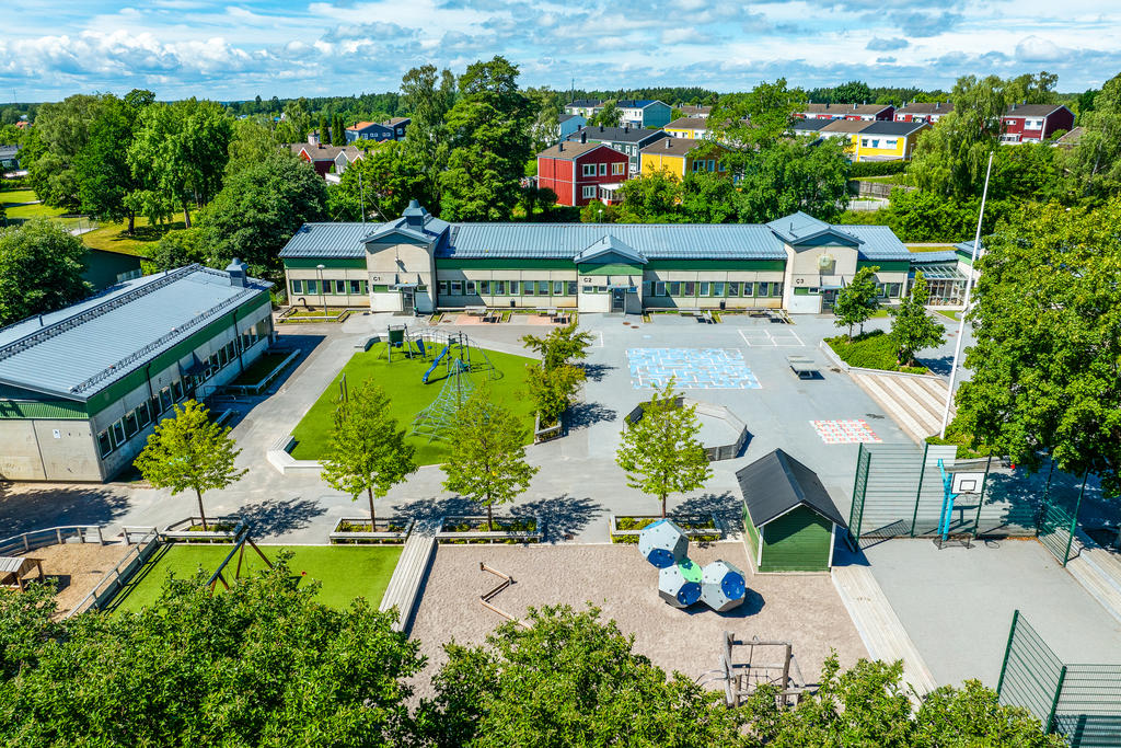Backluraskolan