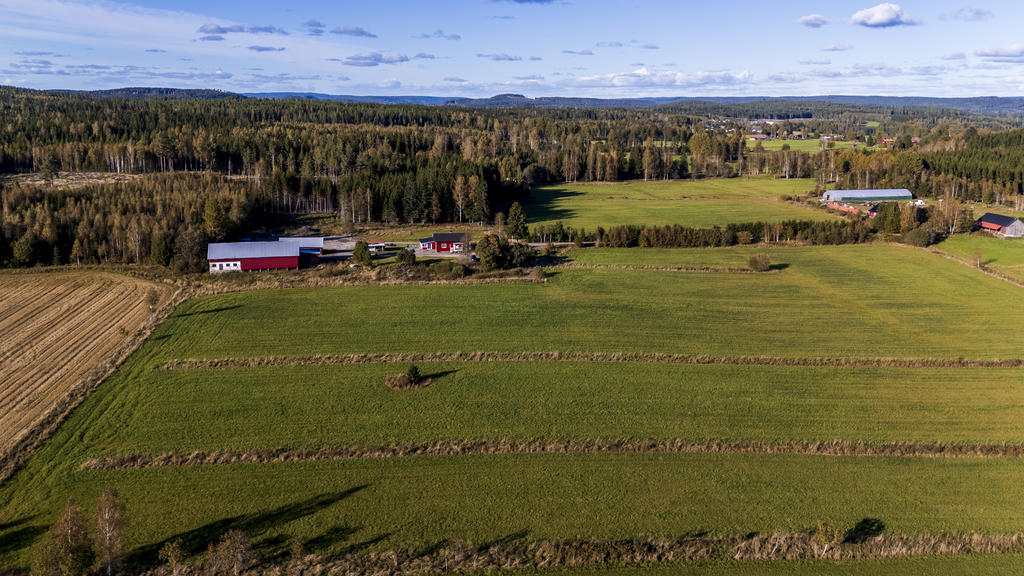 Flygbild