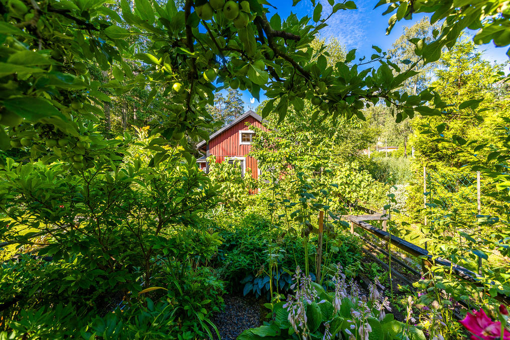 Trädgård