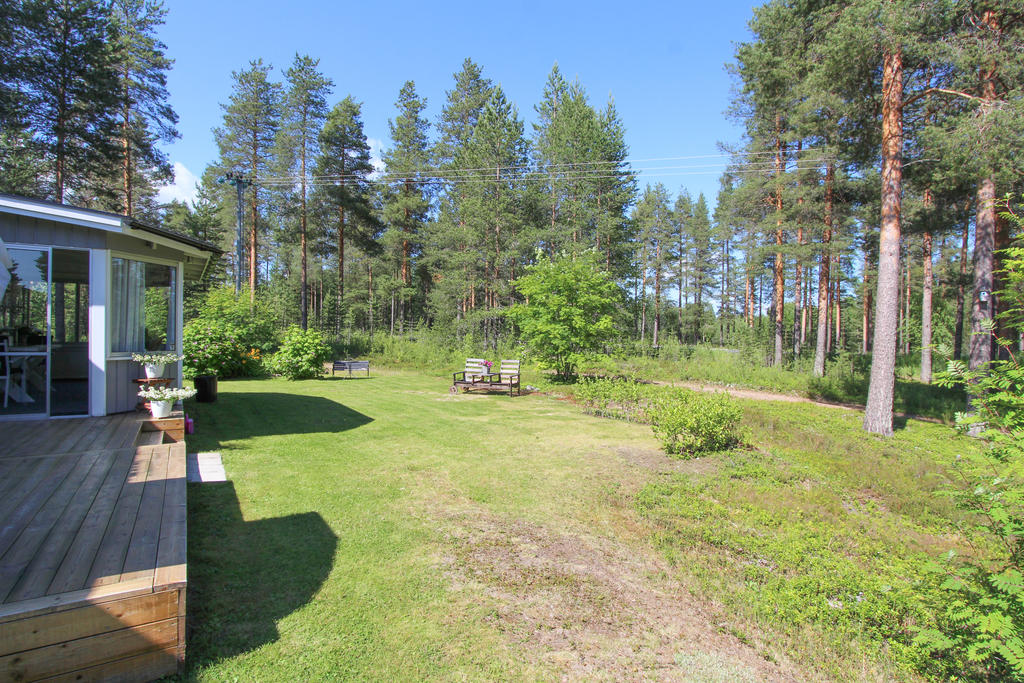 Tomt mot skog